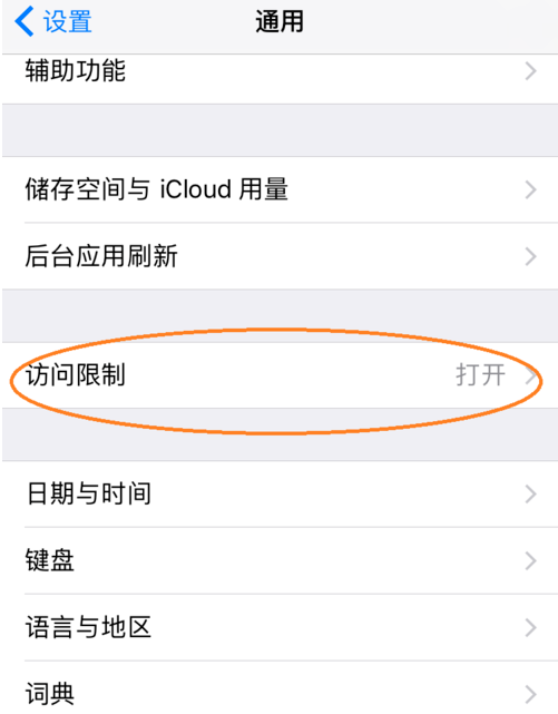 开启iPhone手机访问限制功能的具体操作