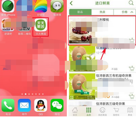 天天果园APP添加关注的简单操作