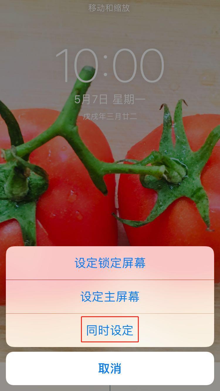 苹果手机中设置壁纸的方法步骤