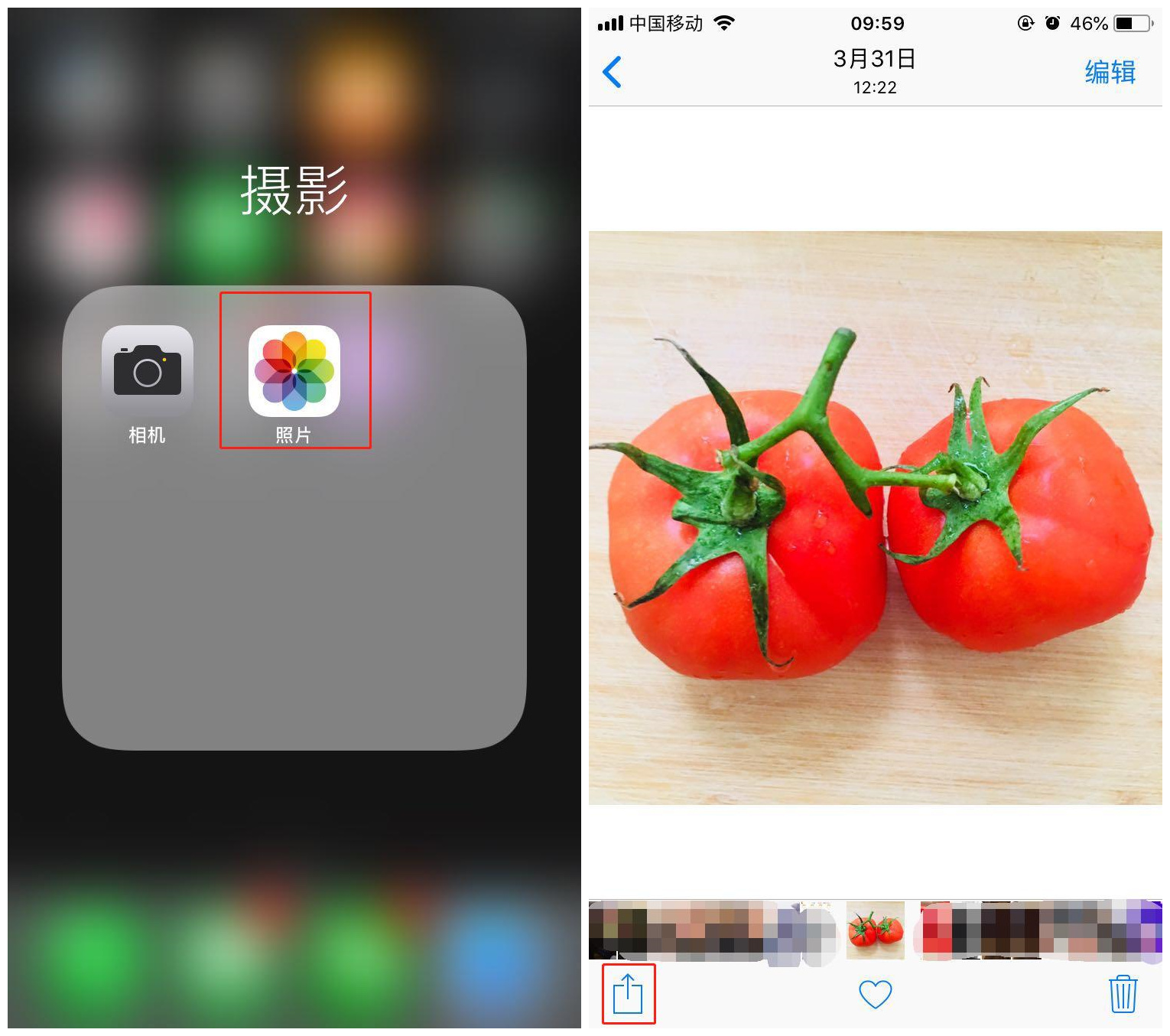 苹果手机中设置壁纸的方法步骤