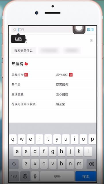 在支付宝里进行粘贴搜索码的图文操作