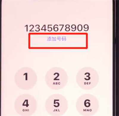 iphone11中添加联系人的简单过程