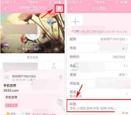 粉粉日记APP添加标签的操作流程
