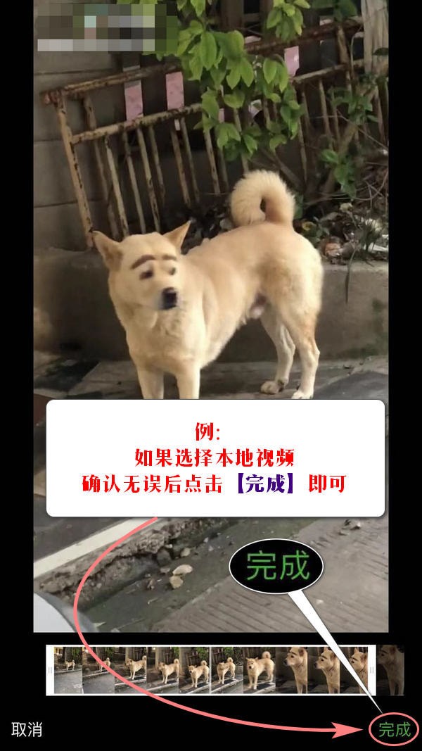 微信APP发布时刻视频的图文操作