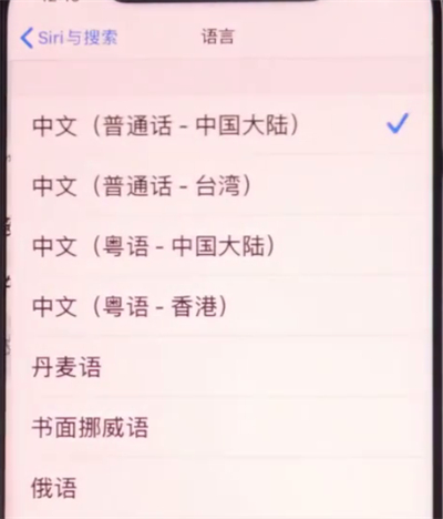 iphone11中设置Siri语言的具体方法