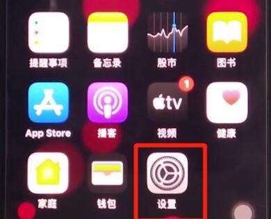 iphone11中设置Siri语言的具体方法