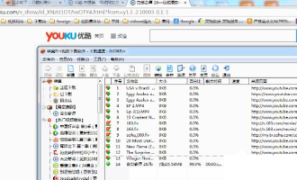 今天分享使用维棠播放器下载优酷视频的具体操作流程。