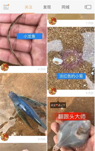 在快手里查看作品id的操作流程